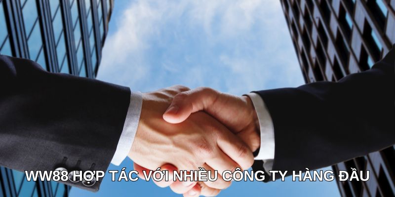 WW88 hợp tác với nhiều công ty hàng đầu